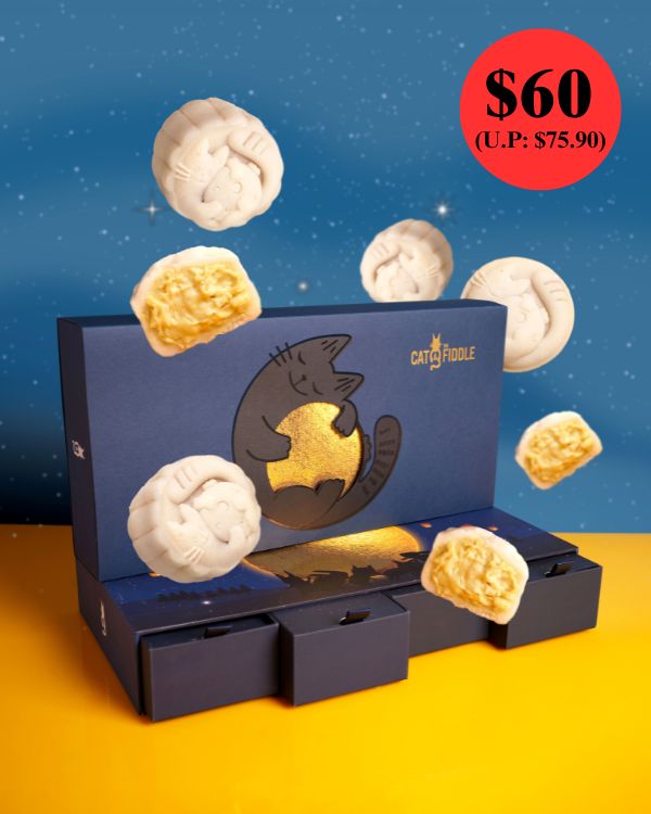 C&F MSW Durian Snowskin Mooncake Set