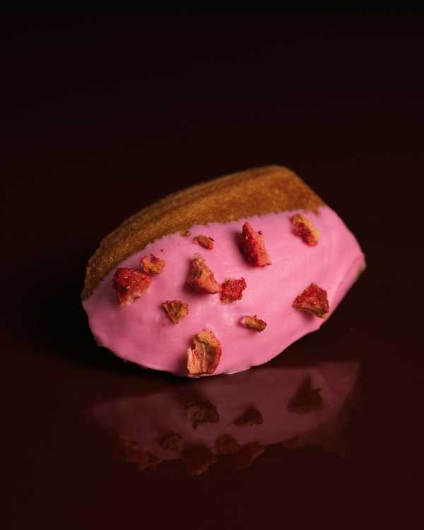 Strawberry Chocolate Madeleine